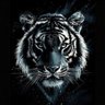 TiGeR's profile picture