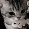tuxuexue 的头像