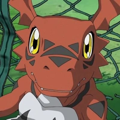 girumon16's profile picture