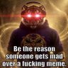Donkeybeans's profile picture