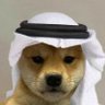 Фото профиля Crypto Fund Trader