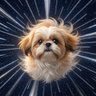 Profilbild von Supersam