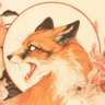 J M's profile picture