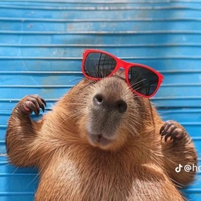 T’iamo MC 🐰🥑🌊🛟's profile picture