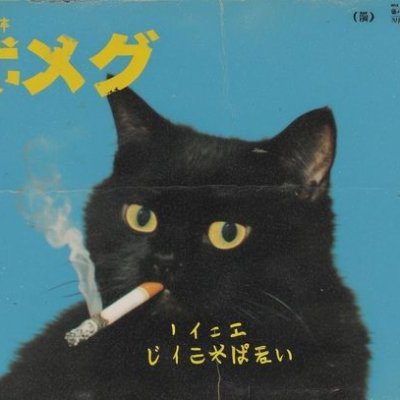 novee_dev's profile picture
