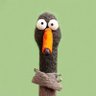 Profilbild von Goose the Growth Guy