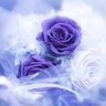 ✾❀❁ フラワー ✾❀❁'s profile picture