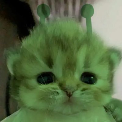 Papanggg’'s profile picture