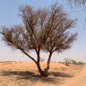 Фото профиля شمال نجد