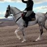Фото профиля Ankgaralı