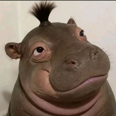 new's profile picture