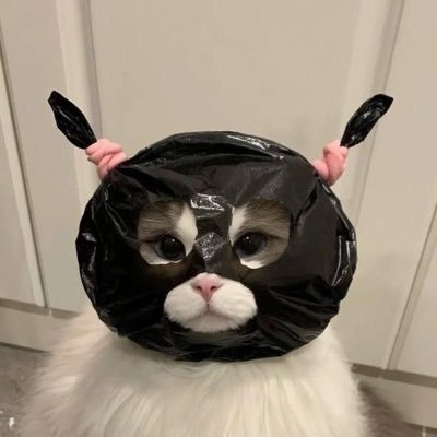 BodysmartSss's profile picture