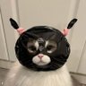 Little Monz 的头像