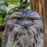 kaiiiiii's profile picture