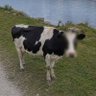 Profilbild von π