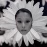 Profilbild von renzo ꕤ