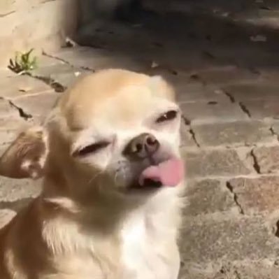 apolada9309's profile picture