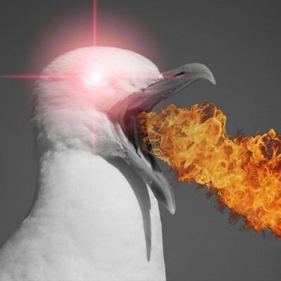 머라노's profile picture