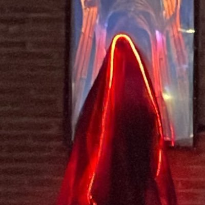 elpapasitoenvit's profile picture