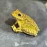 coogi's profile picture