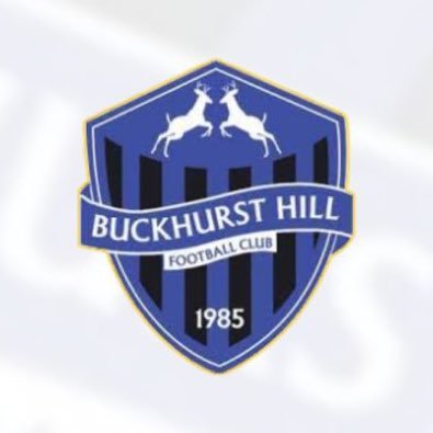 Buckhurst Hill FC (P)'s profile picture