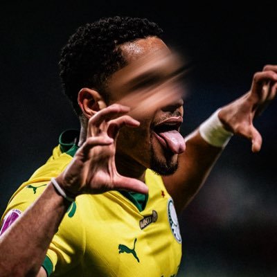 picmeiras's profile picture