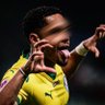 picmeiras's profile picture