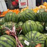 Фото профиля スイカ投資家