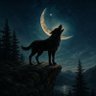 nomad's profile picture
