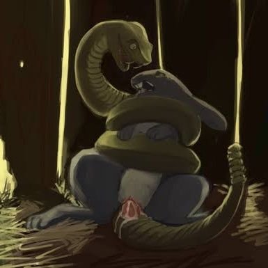 thanujasanka28's profile picture