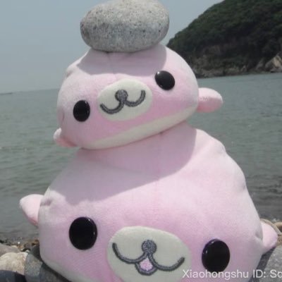 zoiois's profile picture