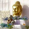 Surya Raj नागवंशी 的头像