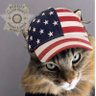 Profilbild von Deni D 🇺🇸🙏🦅 🦁🐘🗽