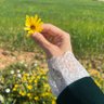 Фото профиля ℍ𝕒𝕕𝕛𝕖𝕣 🇩🇿🇵🇸