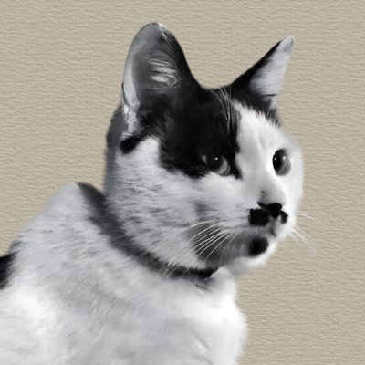 Feline Guardians's profile picture
