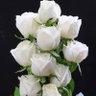 Фото профиля Mr Generous