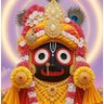 Dr. Sanjay's profile picture