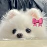 そると profil fotoğrafı