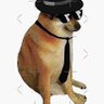 cooldoggo's profile picture