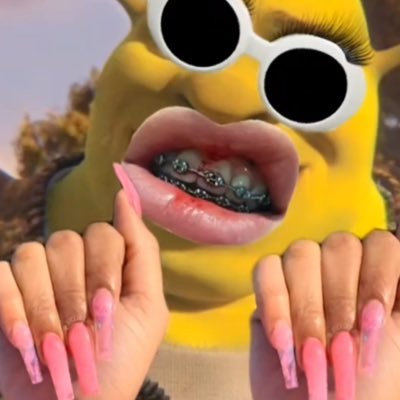 ZY's profile picture