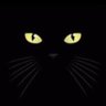 Ismail's profile picture