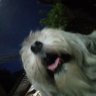 sabyyy's profile picture
