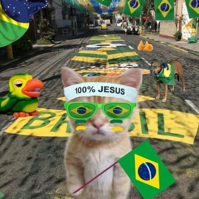 gato santista's profile picture