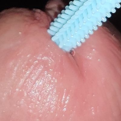 niaodaoaihaooo's profile picture