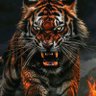 Jose Puche Villadiego's profile picture