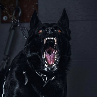 BOMB's profile picture