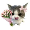 Ucingg 🐱's profile picture