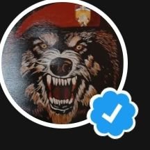 С.т.🅰️.л.к.e.р's profile picture