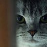 Zeze90 profil fotoğrafı