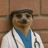 Docsmx profil fotoğrafı